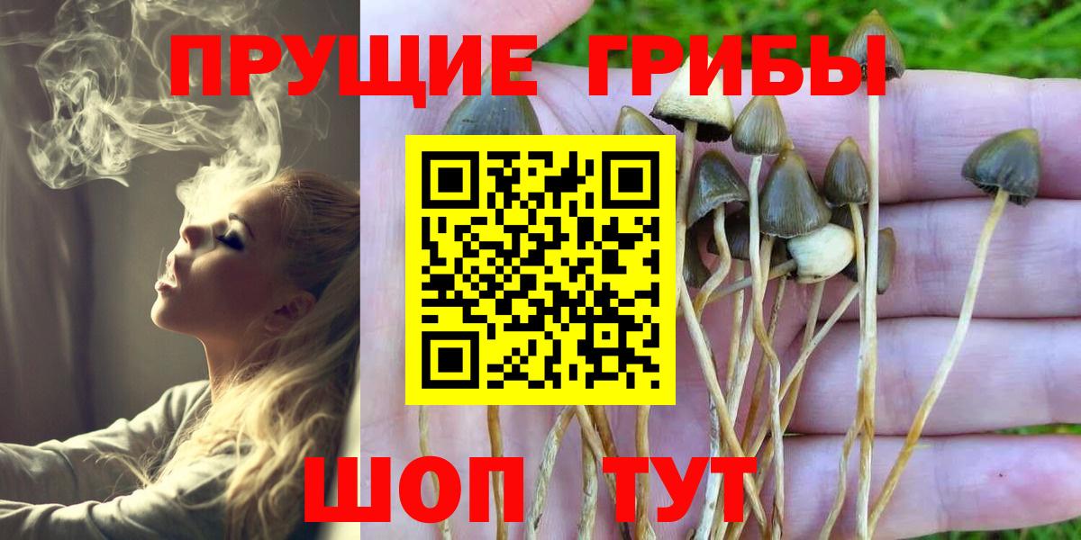Галлюциногенные грибы ЛСД Реутов