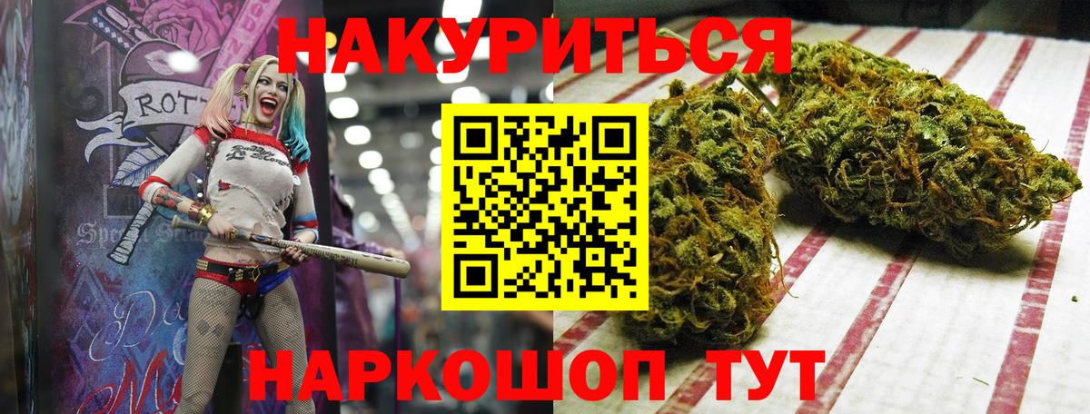 Каннабис сатива Реутов